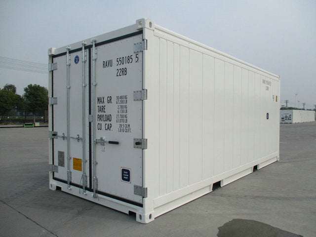 Contenedor Thermo King 20′ seg